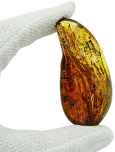 29,15 g Amber Nugget with inclusion (1)