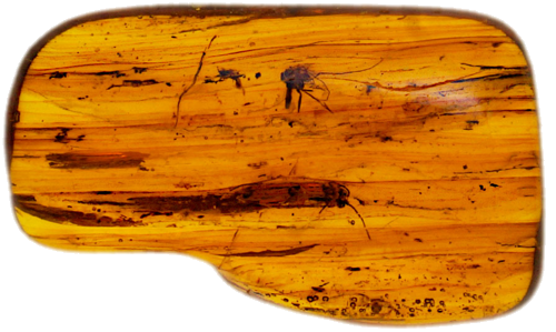 2,00 g Amber Nugget with inclusion (1)