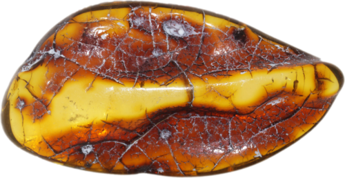 15,95 g Amber nugget (2)