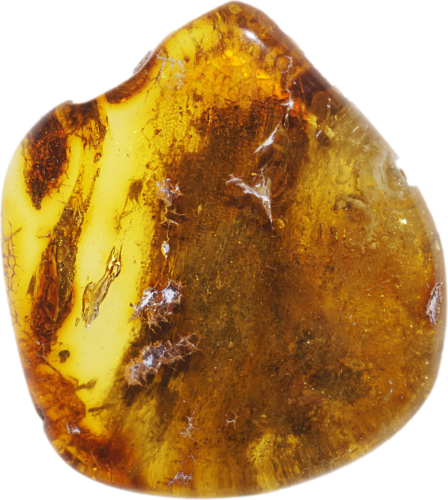 6,00 g Amber nugget (1)