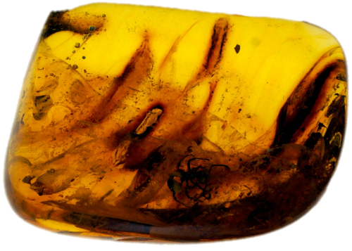 5,30 g Amber Nugget with inclusion (1)