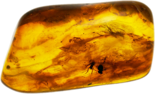 3,25 гр. Самороден кехлибар с фосил (1)