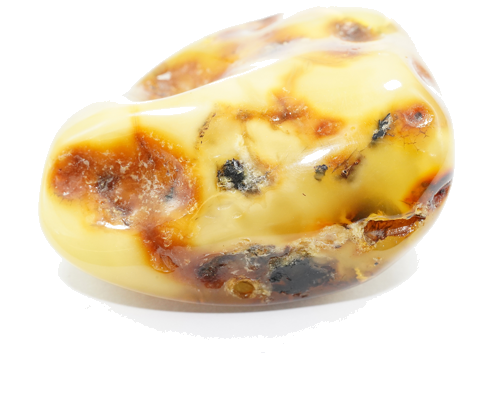 20 g Gintaro grynuolis (1)