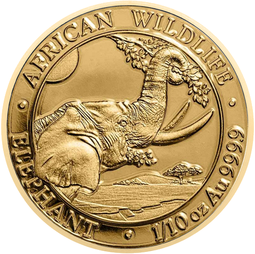 1/10 oz Elephants 2023 Somalia Gold Coin (1)