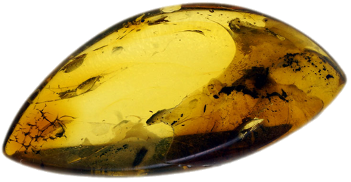 3,90 g Amber Nugget with inclusion (2)