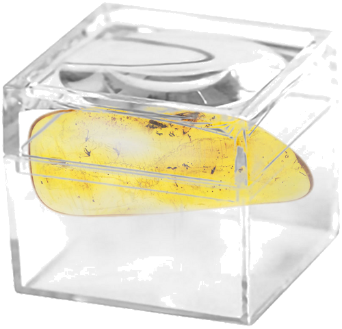 2,40 g Amber Nugget with inclusion (2)