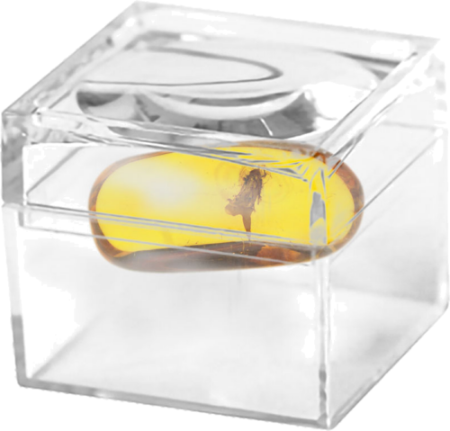 1,00 гр. Самороден кехлибар с фосил (2)