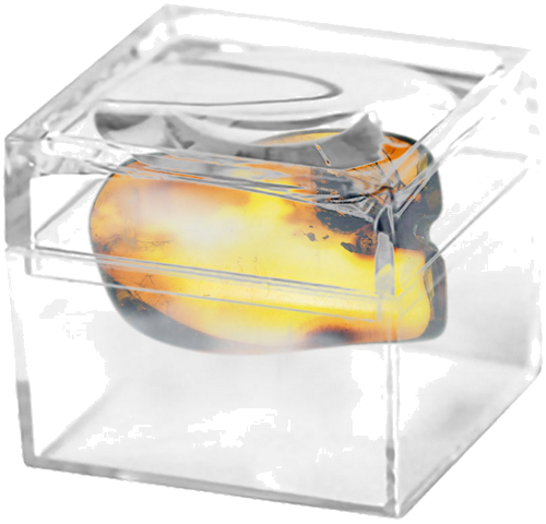 1,50 g Gintaro grynuolis su inkliuzu (2)