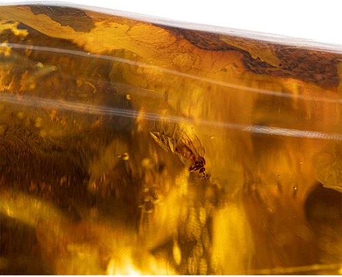 36,90 g Amber Nugget with inclusion (2)