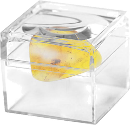 2,45 гр. Самороден кехлибар с фосил (2)