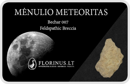 Lunar Meteorite (1)