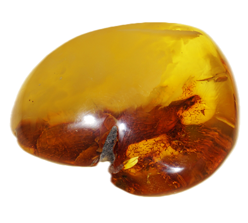 19,55 g Gintaro grynuolis (2)