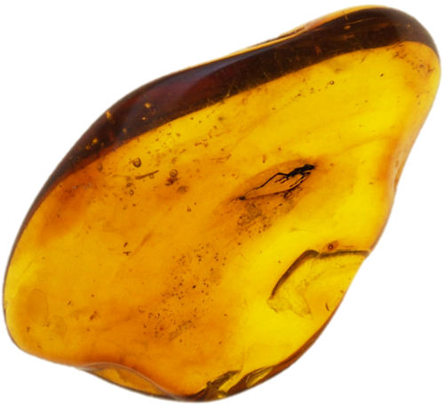 1,80 g Gintaro grynuolis su inkliuzu (1)