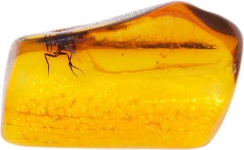 1,05 g Amber Nugget with inclusion (1)