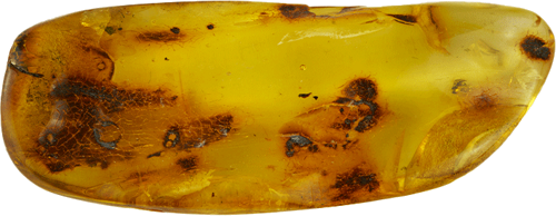 9,65 g Amber nugget with inclusions (3)