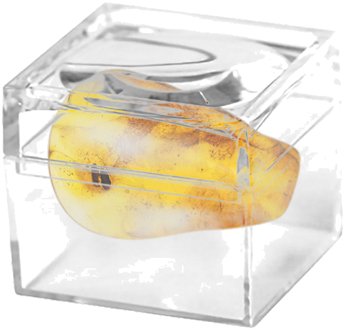 3,10 g Amber Nugget with inclusion (2)