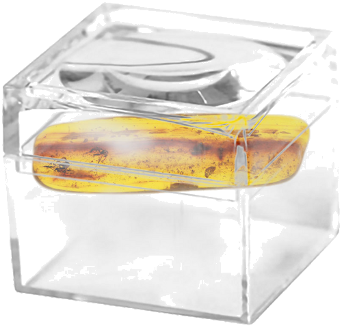 Самородок янтаря с инклюзом 2,00 г (2)