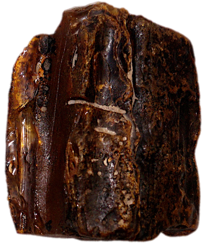 118 g Gintaro grynuolis (1)