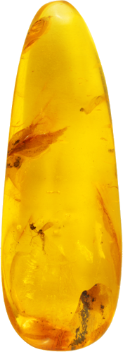 7,95 g Gintaro grynuolis su inkliuzais (1)