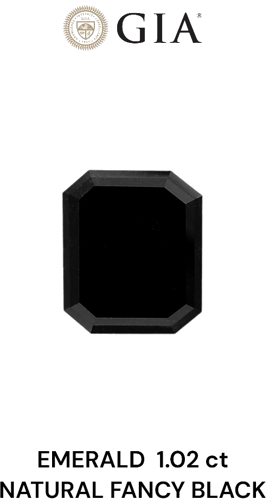 1.02 carat Fancy Black-VVS2 Natūralus Emerald Deimantas (1)