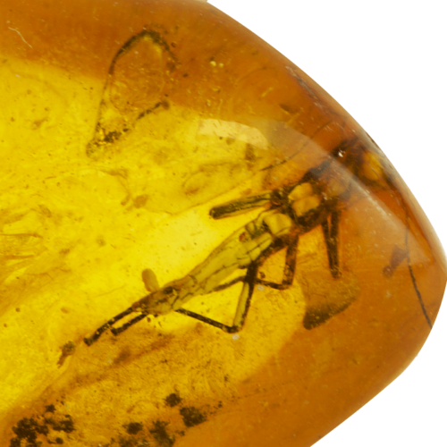 13,05 g Amber nugget with inclusion (2)