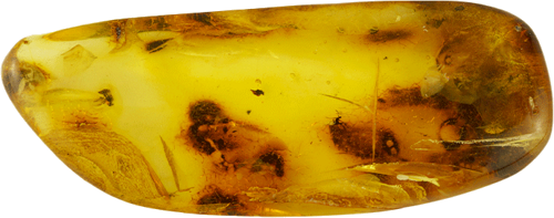 9,65 g Gintaro grynuolis su inkliuzais (1)