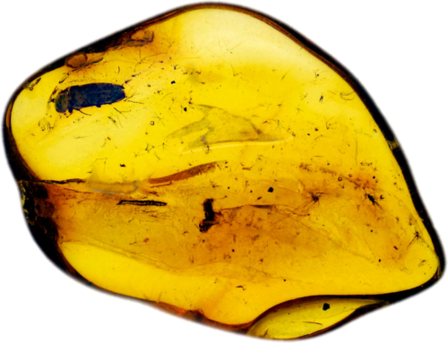 1,40 g Gintaro grynuolis su inkliuzais (1)