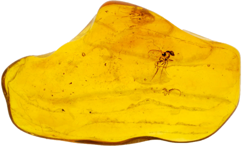 1,80 g Amber Nugget with inclusions (1)