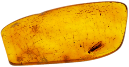 1,80 g Gintaro grynuolis su inkliuzu (1)