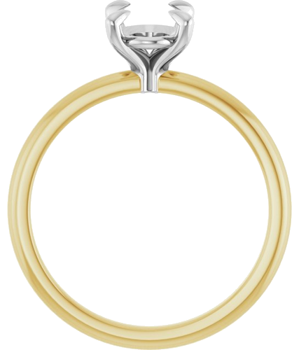 14K Yellow White 8 x 6 mm Oval Engagement Ring Mounting (2)