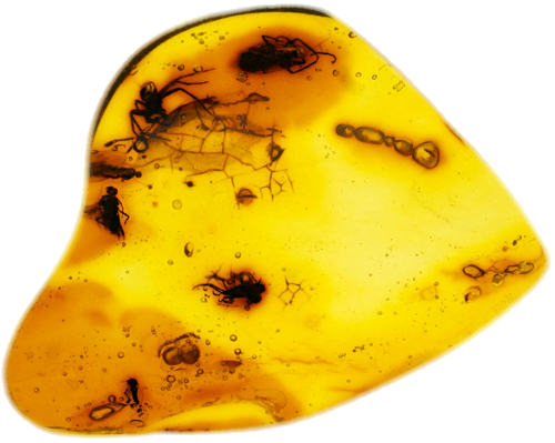 1,60 g Amber Nugget with inclusion (1)