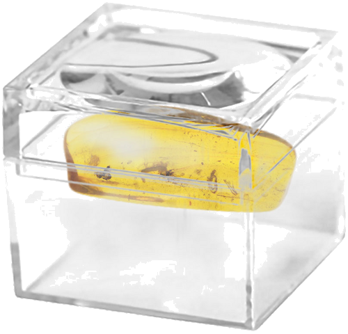 2,65 g Amber Nugget with inclusion (2)