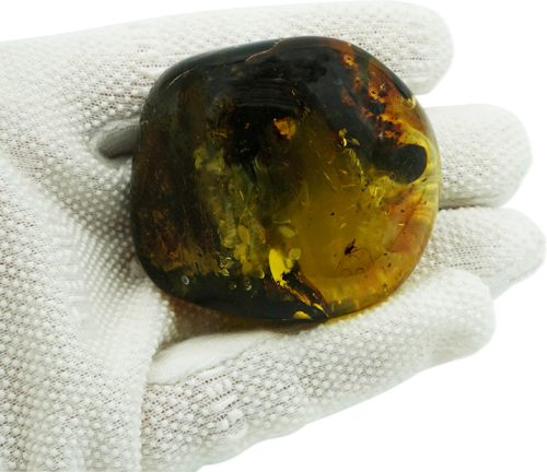 49,10 гр. Самороден кехлибар с фосил (1)