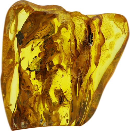 28,20 g Amber Nugget with bug inclusion (2)
