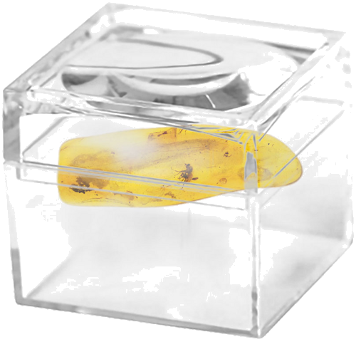 Самородок янтаря с инклюзом 0,90 г (2)