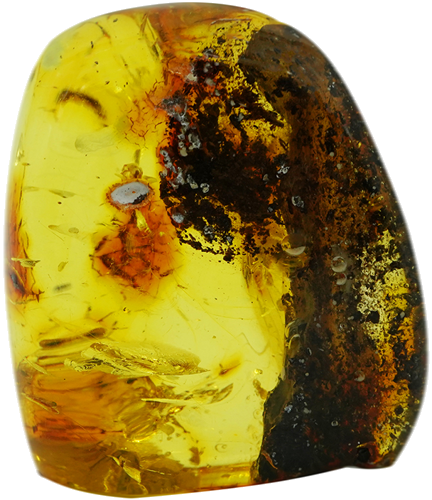 36,05 g Amber Nugget with inclusion (1)