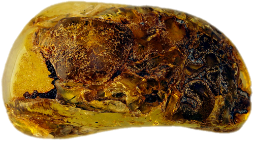 9,45 g Amber nugget with tree bark inclusion (2)