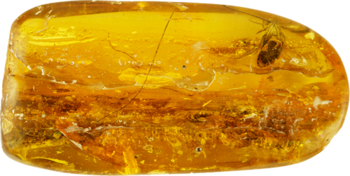 18,75 g Amber nugget with butterfly inlay (1)