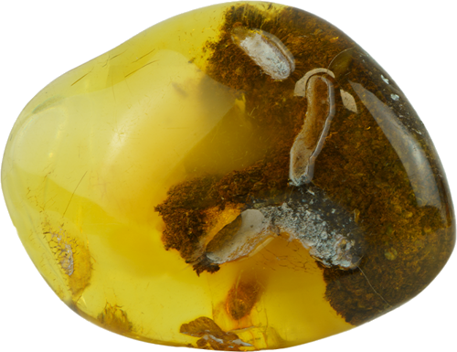 11,05 g Amber nugget (1)