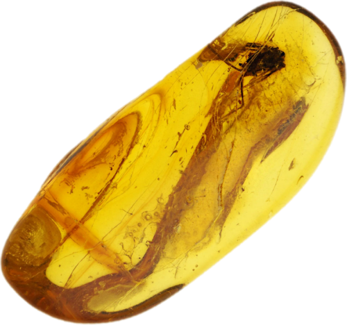 1,65 g Amber Nugget with inclusion (1)