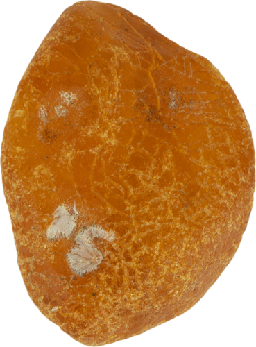 7,40 g Jūrinio Gintaro grynuolis (1)