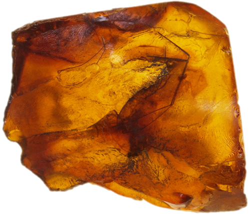 4,45 g Amber Nugget with Spider legs inclusions (1)