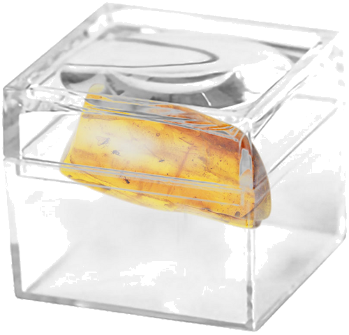 2,80 g Amber Nugget with inclusion (2)