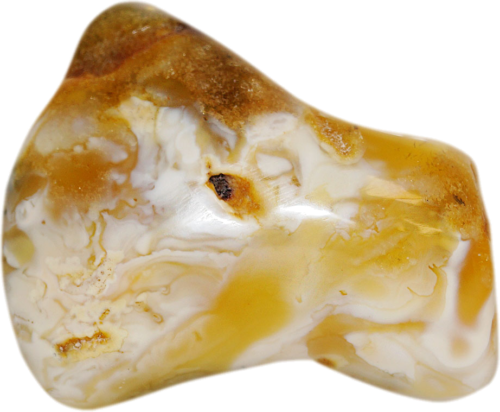 18 g Jūrinio gintaro grynuolis (1)