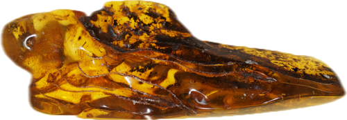 38,40 g Amber Nugget with bug inclusion (3)
