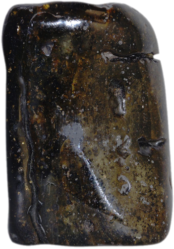 106 g Amber Nugget (2)