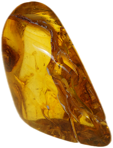 16,35 g Amber Nugget with inclusion (1)