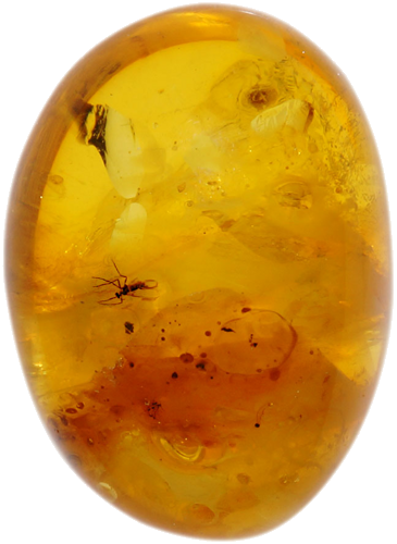 2,10 g Amber Nugget with inclusion (1)