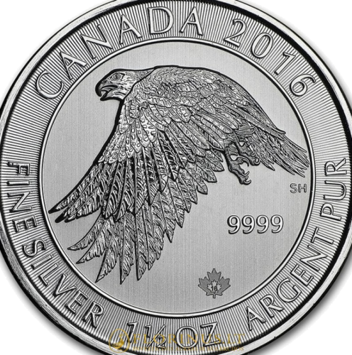 2016 Snowy Falcon, Канада, сребърна монета с тегло 1,5 унции (2)