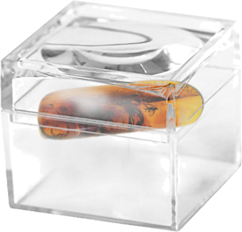 1,45 g Gintaro grynuolis su inkliuzais (2)